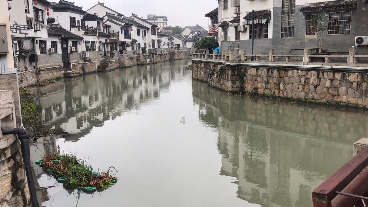 夏季热带海滩逃生